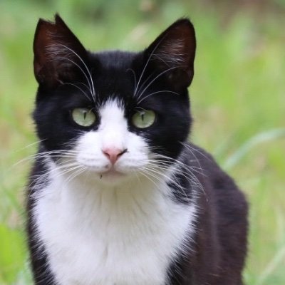 dreamer999_9's profile picture. I value my personal time.