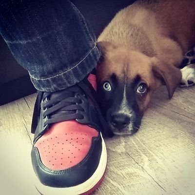 seku974's profile picture. 