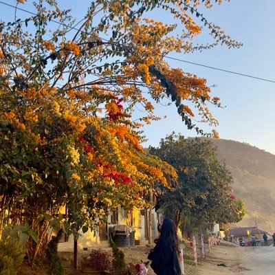 konjengbam_roni's profile picture. Constantly learning, avid reader, and firm believer in the power of progress. passionate about growth, both in the lab and in life. 🌱🔬🧬