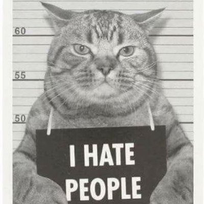 nastycreep1's profile picture. 毫無感情的工作機器。