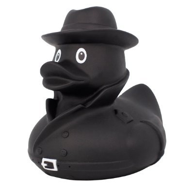 RDuckyOverlord Profile Picture