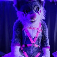 JaroWolf-Afterdark (@teasyjarowolf) 's Twitter Profile Photo JaroWolf-Afterdark (@teasyjarowolf) 's Twitter Profile Photo