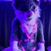 JaroWolf-Afterdark (@TeasyJaroWolf) Twitter profile photo