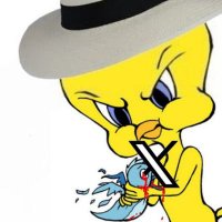 Tweety 𝕏 (@tuitieme) 's Twitter Profile Photo Tweety 𝕏 (@tuitieme) 's Twitter Profile Photo