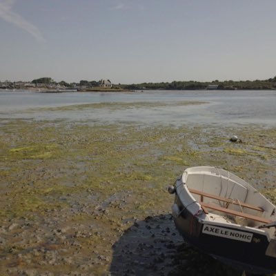 CnBpst's profile picture. 