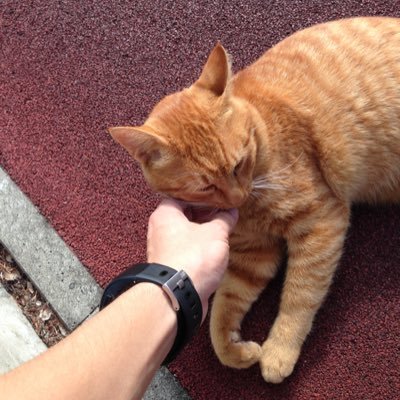 SJJ79wNeahapbDW's profile picture. 