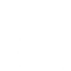 yGin8HsHGXw1AmL's profile picture. 