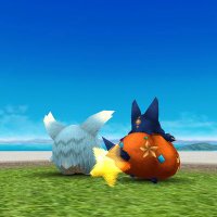 シロイム@トーラム (@siroim_mame) 's Twitter Profile
