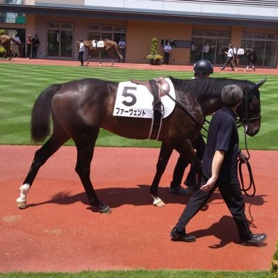 12kanon3's profile picture. 第2回 YRA POG大会参戦中！！！
36位！！
第3回56位
第4回？？
競馬が好きな方仲良くしましょう✨
競馬の専門学校、校長信者😆😆