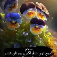 نسرین🌹🌺(@n83UJ3rREmssLDT) 's Twitter Profile Photo