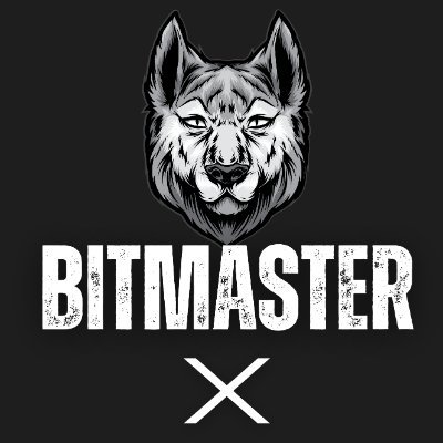 BitmasterX