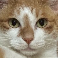 tessii (@tessjus) 's Twitter Profile Photo tessii (@tessjus) 's Twitter Profile Photo