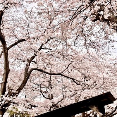 suzuran_valle's profile picture. きらきらぽろぽろ すずしいまいにち