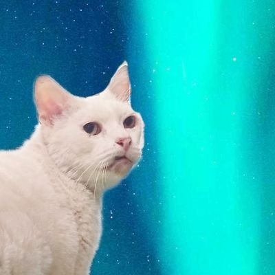 rTØNさんのプロフィール画像