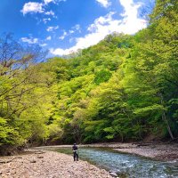 trout親父 (@troutoyaji) 's Twitter Profile