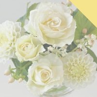 いと (@trhk_oti_529) Twitter profile photo