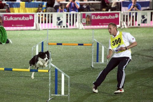 I am a agility handler from the UK, I have 4 dogs and compete all over the UK, Europe & Worldwide. I enjoy seeing other clubs and meeting people abroad!