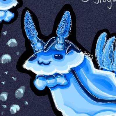 ☽ daily sea slugs