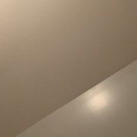 Tim🍒🏳️‍⚧️⚧️ (@tomftm24) 's Twitter Profile