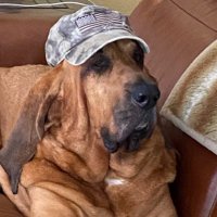 Johnj USA (@rcity561) 's Twitter Profile