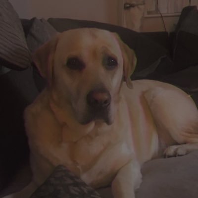 Tills_coleman19's profile picture. 