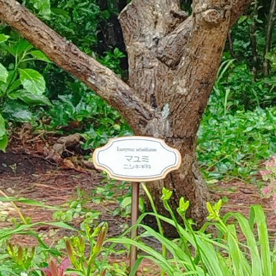 200177Yui's profile picture. #楽天市場 を利用してはや・・・何年？　楽天でよく買い物をしているので、気になる商品とお得な情報を発信します！　・・・たぶん🤔　・・・予定😓
今は #懸賞 にはまってます。