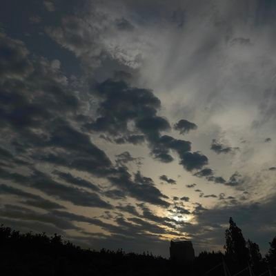 WangZheng36776's profile picture. 