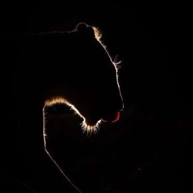 bh_sbh's profile picture. 