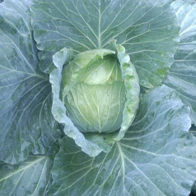 KGGGNINE's profile picture. 