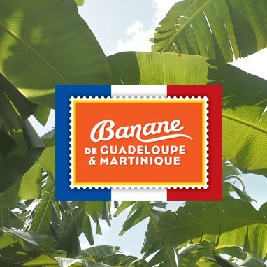 🍌 Banane de Guadeloupe & Martinique
