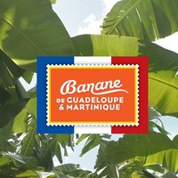 🍌 Banane de Guadeloupe & Martinique (@bananefrancaise) 's Twitter Profile