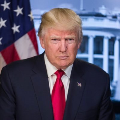 degenerate option trader                                      free discord https://t.co/TLYsaVncF0
