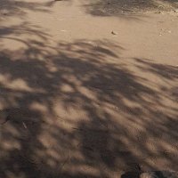 STAY REAL (@semhando_lm) 's Twitter Profile