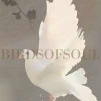 BirdsofSoul121(@BSoul121) 's Twitter Profile Photo