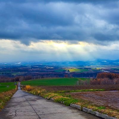 PhotoTakuma's profile picture. カメラ片手にお出かけして撮った写真を見せたい写真垢。
📸Canon EOS R7