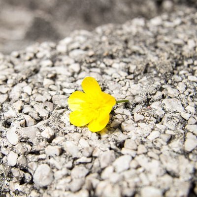 winniemogusu's profile picture. Greatly blest, highly favored, imperfect but forgiven child of God