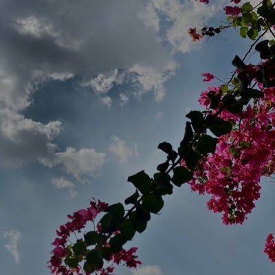 fatoom_9880's profile picture. جامعة الكويت