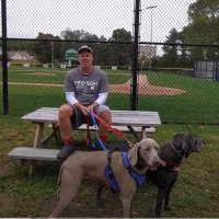 The Baseball Storyteller (@the_ribbe) 's Twitter Profile Photo The Baseball Storyteller (@the_ribbe) 's Twitter Profile Photo