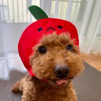 あっすぅ🍏 (@aa_su__28) 's Twitter Profile