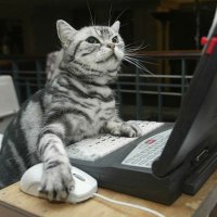 YourFavPetz (@yourfavpetz) 's Twitter Profile Photo YourFavPetz (@yourfavpetz) 's Twitter Profile Photo