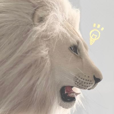 漫画『獣王と薬草』(原作:艮田竜和先生、キャラクターデザイン:ももちち先生)の作画を務めさせていただいています!/ 『バビロン大富豪の教え(漫画担当)』『魔女の守人』『愛せなければ死ぬ(漫画担当)』/本と書店が好き