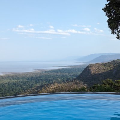 Meaganlibero25's profile picture. 