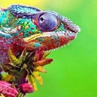 MARIANCHELE's profile picture. hola haha