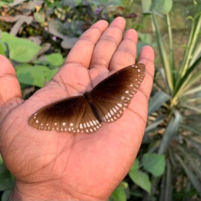 Ritu_Dhwaj's profile picture. 