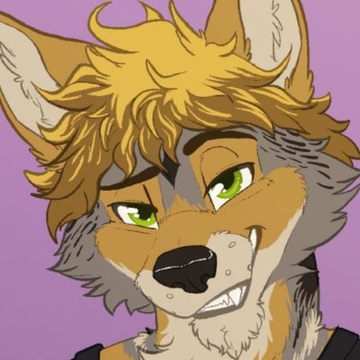 RingoYote Profile Picture