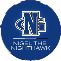 Nigel the Nighthawk(@UNGNighthawk) 's Twitter Profile Photo
