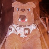 WWHS Student Section (@dawgs_bite) 's Twitter Profile
