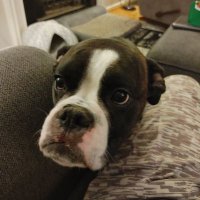 Thebigdeal (@thebigd47068248) 's Twitter Profile