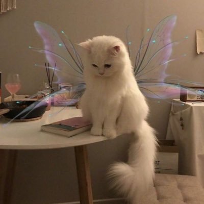 heyl0v3r's profile picture. its me, hi •*ੈ♡⸝⸝🪐༘⋆