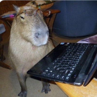 Bos_B_Vok's profile picture. Questions are never indiscreet, answers sometimes are.